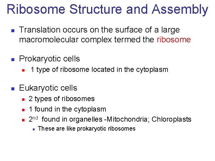 Ribosome Structure and Assembly n n Translation occurs on the surface of a large