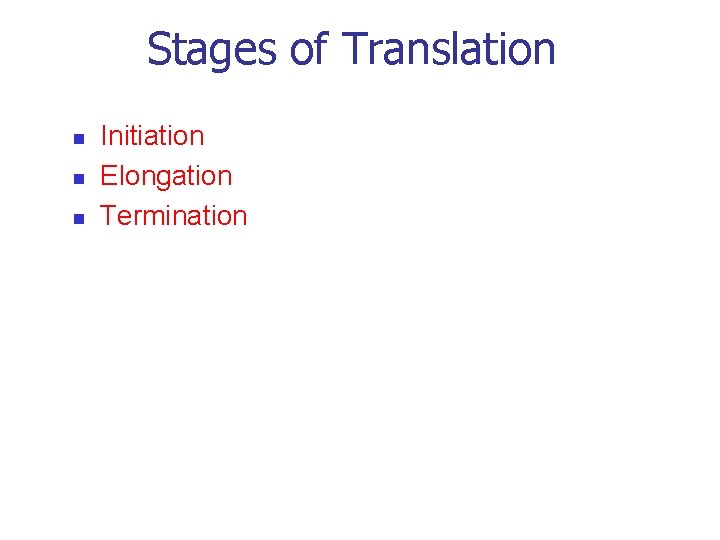 Stages of Translation n Initiation Elongation Termination 