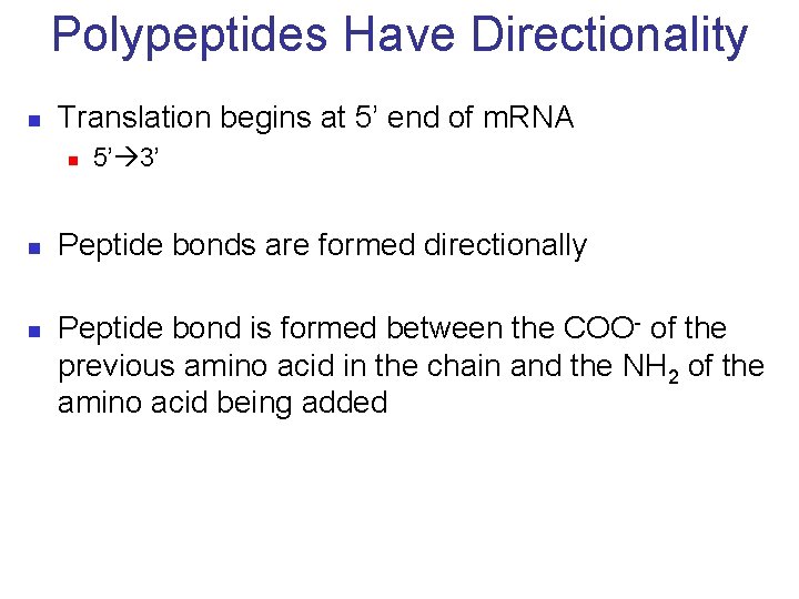 Polypeptides Have Directionality n Translation begins at 5’ end of m. RNA n n