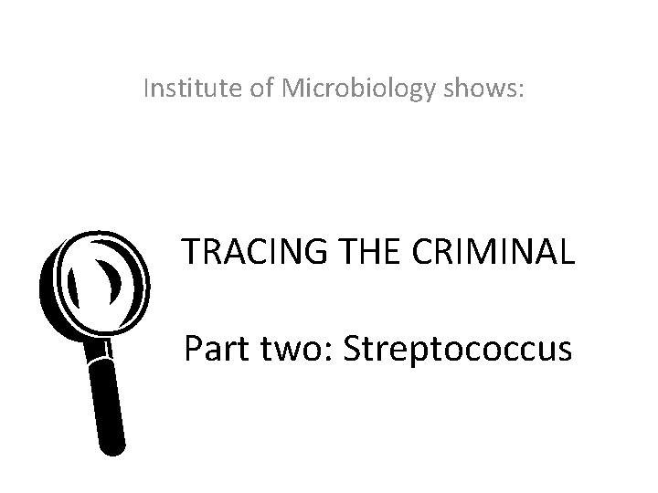 Institute of Microbiology shows: L TRACING THE CRIMINAL Part two: Streptococcus 