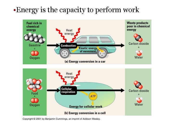  • Energy is the capacity to perform work 