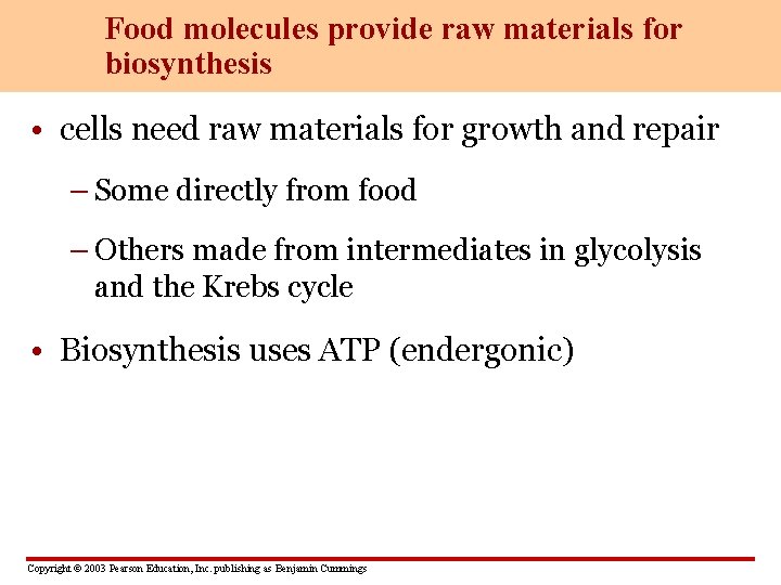 Food molecules provide raw materials for biosynthesis • cells need raw materials for growth