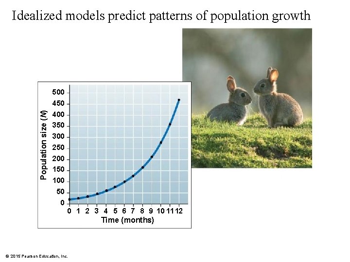 POPULATION STRUCTURE AND DYNAMICS 2015 Pearson Education Inc