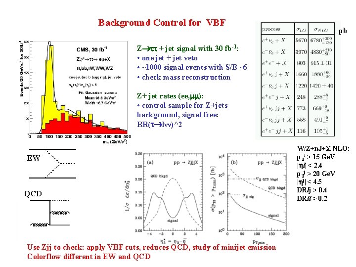 Background Control for VBF pb Z + jet signal with 30 fb-1: • one