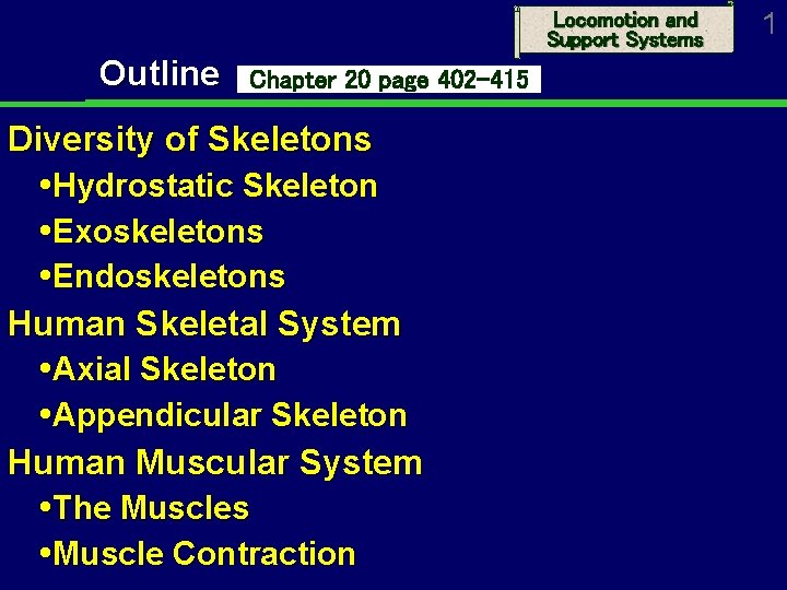 Locomotion and Support Systems Outline Chapter 20 page 402 -415 Diversity of Skeletons Hydrostatic