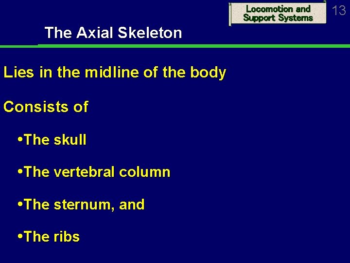 Locomotion and Support Systems The Axial Skeleton Lies in the midline of the body