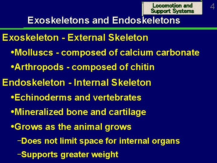 Locomotion and Support Systems Exoskeletons and Endoskeletons Exoskeleton - External Skeleton Molluscs - composed