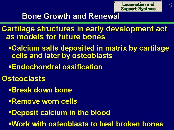 Locomotion and Support Systems 8 Bone Growth and Renewal Cartilage structures in early development