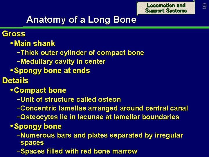 Locomotion and Support Systems Anatomy of a Long Bone Gross Main shank Thick outer
