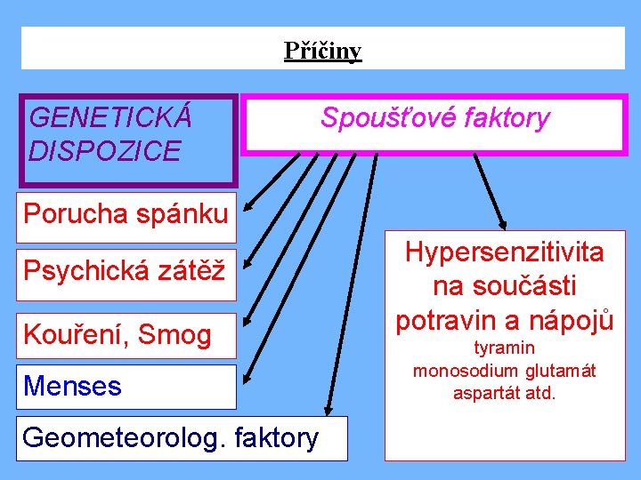 Příčiny GENETICKÁ DISPOZICE Spoušťové faktory Porucha spánku Psychická zátěž Kouření, Smog Menses Geometeorolog. faktory