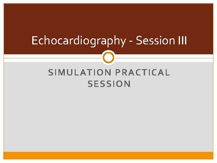 Echocardiography - Session III SIMULATION PRACTICAL SESSION 