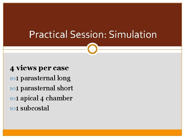 Practical Session: Simulation 4 views per case 1 parasternal long 1 parasternal short 1