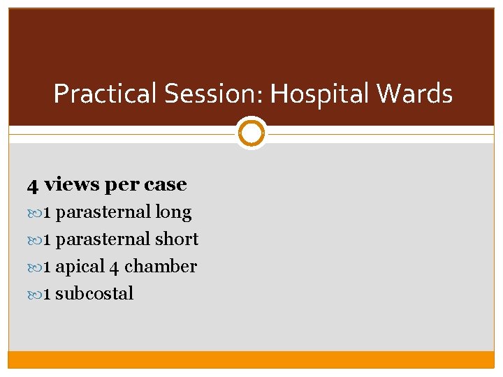 Practical Session: Hospital Wards 4 views per case 1 parasternal long 1 parasternal short