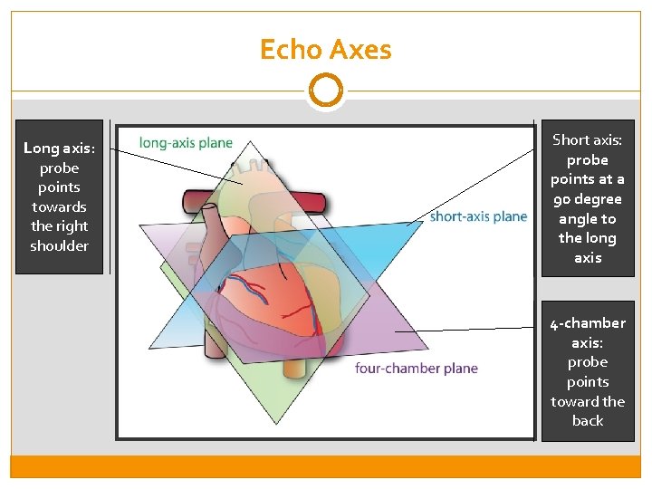 Echo Axes Long axis: probe points towards the right shoulder Short axis: probe points