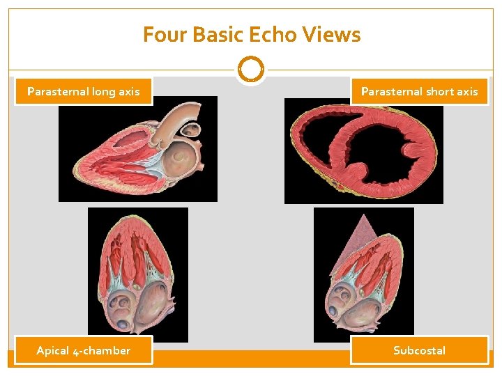 Four Basic Echo Views Parasternal long axis Parasternal short axis Apical 4 -chamber Subcostal