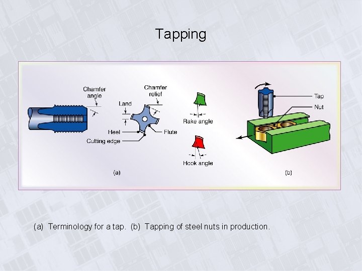 Tapping (a) Terminology for a tap. (b) Tapping of steel nuts in production. 