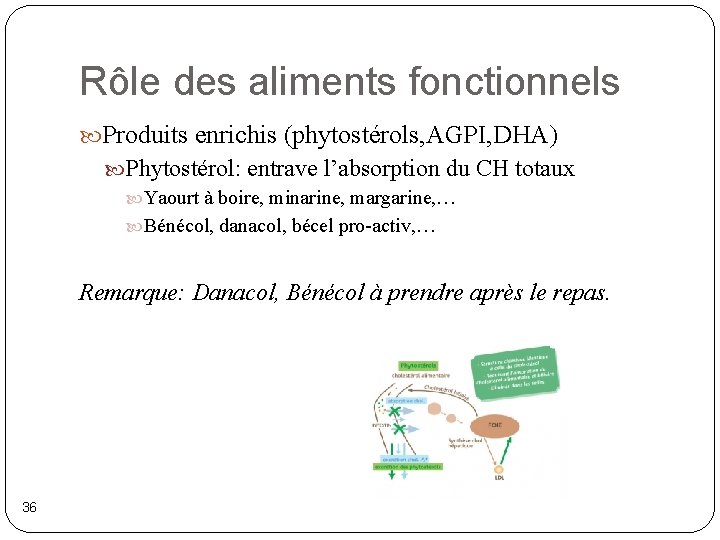 Rôle des aliments fonctionnels Produits enrichis (phytostérols, AGPI, DHA) Phytostérol: entrave l’absorption du CH