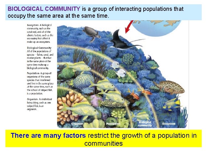 3 1 Community Ecology Vocabulary List community limiting