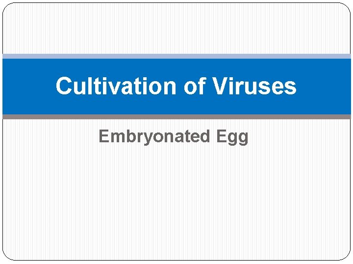 Cultivation of Viruses Embryonated Egg 