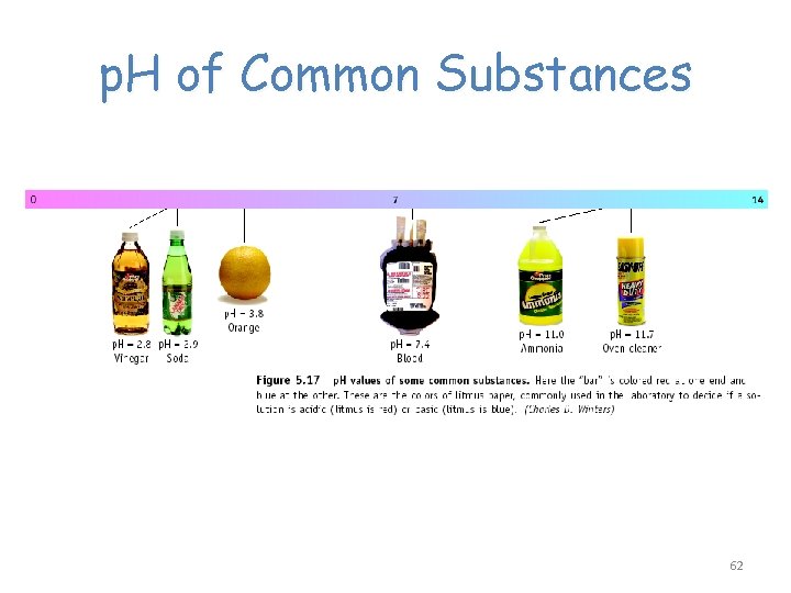 p. H of Common Substances 62 