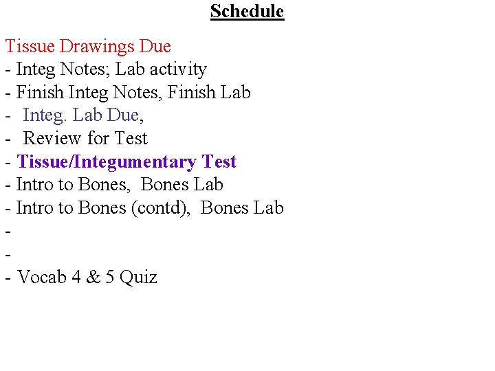 Schedule Tissue Drawings Due - Integ Notes; Lab activity - Finish Integ Notes, Finish