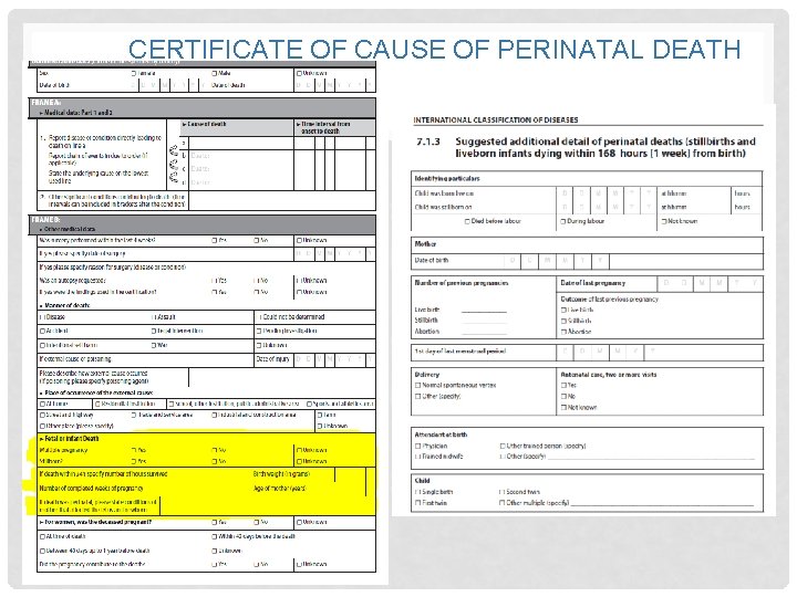 CERTIFICATE OF CAUSE OF PERINATAL DEATH 