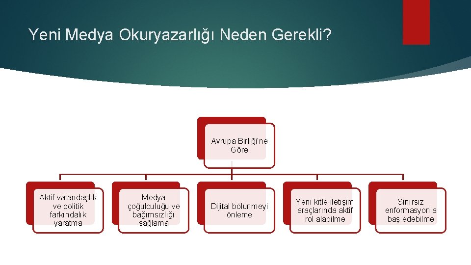 Yeni Medya Okuryazarlığı Neden Gerekli? Avrupa Birliği’ne Göre Aktif vatandaşlık ve politik farkındalık yaratma