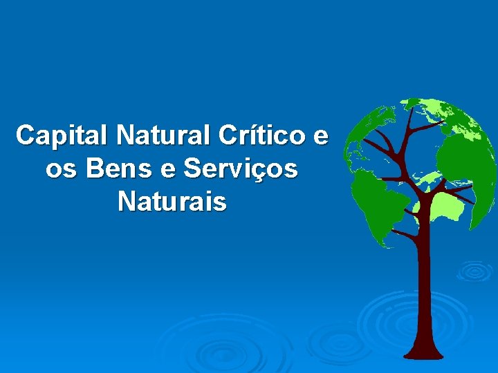 Capital Natural Crítico e os Bens e Serviços Naturais 