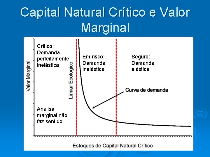 Capital Natural Crítico e Valor Marginal Crítico: Demanda perfeitamente inelástica Analise marginal não faz
