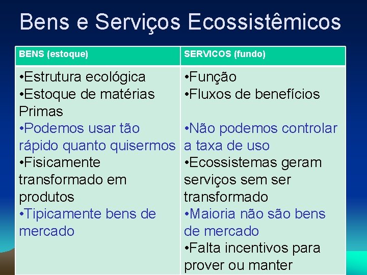 Bens e Serviços Ecossistêmicos BENS (estoque) SERVICOS (fundo) • Estrutura ecológica • Estoque de