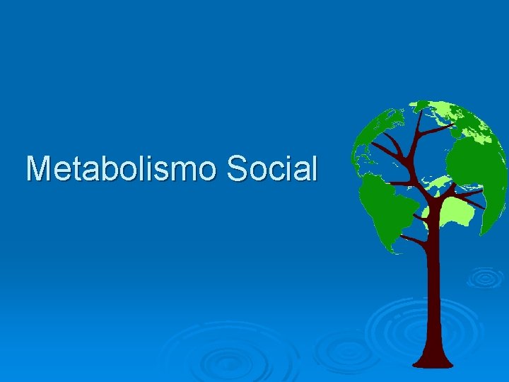 Metabolismo Social 