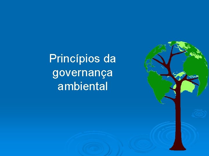 Princípios da governança ambiental 