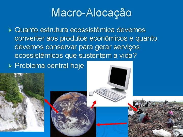 Macro-Alocação Quanto estrutura ecossistêmica devemos converter aos produtos econômicos e quanto devemos conservar para