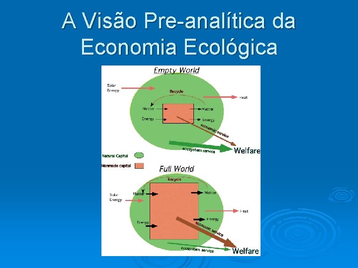 A Visão Pre-analítica da Economia Ecológica 