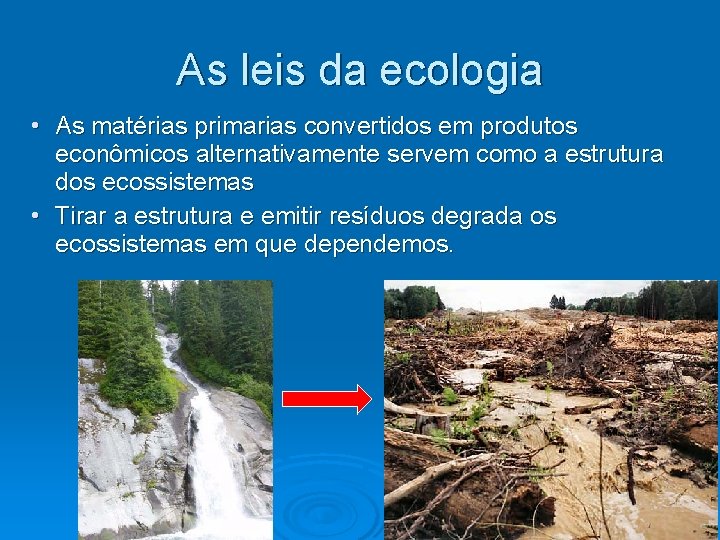 As leis da ecologia • As matérias primarias convertidos em produtos econômicos alternativamente servem