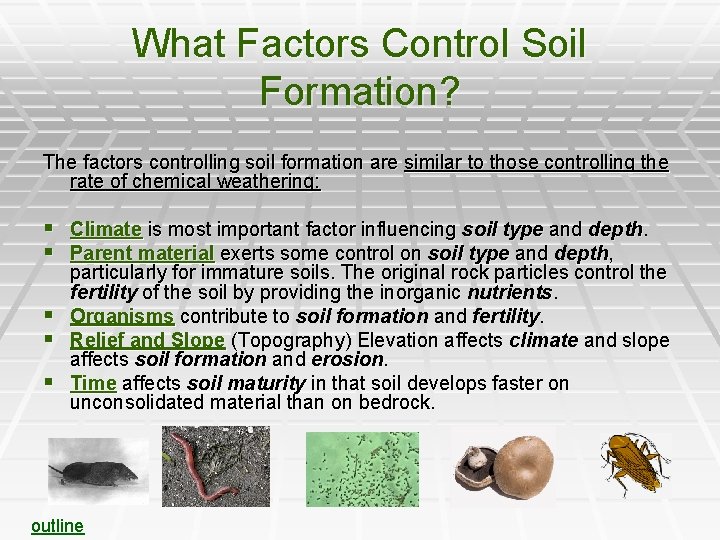 What Factors Control Soil Formation? The factors controlling soil formation are similar to those