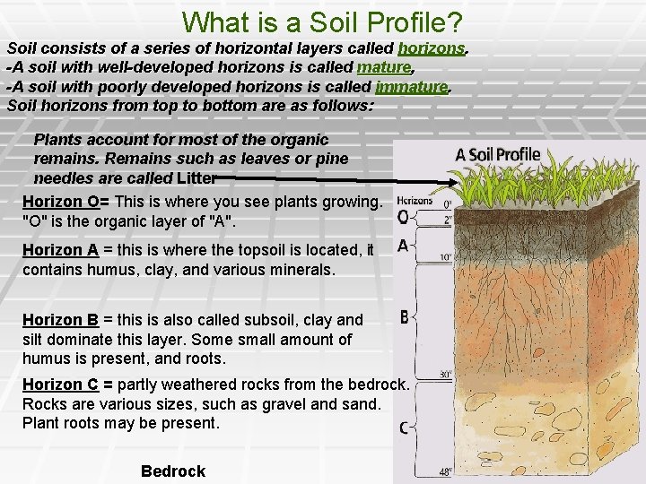 What is a Soil Profile? Soil consists of a series of horizontal layers called