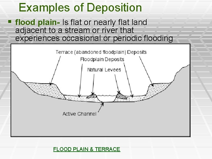 Examples of Deposition § flood plain- Is flat or nearly flat land adjacent to