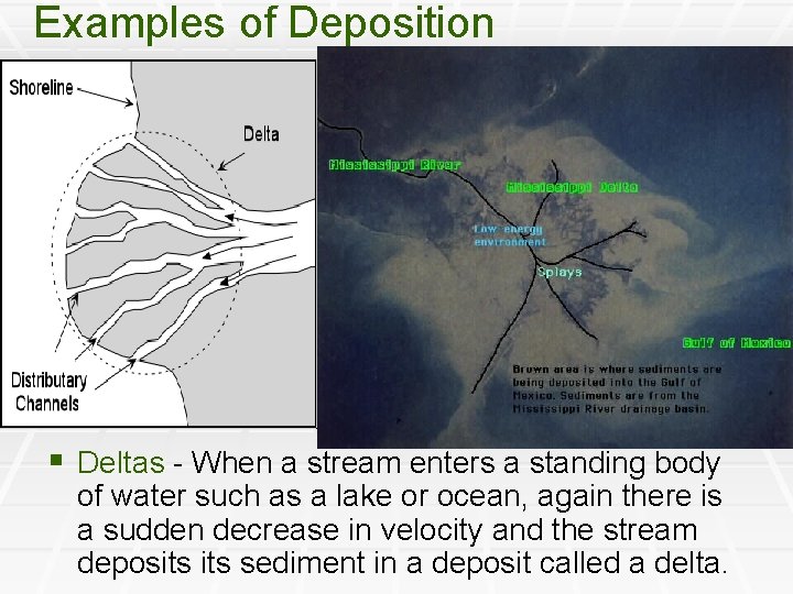 Examples of Deposition § Deltas - When a stream enters a standing body of