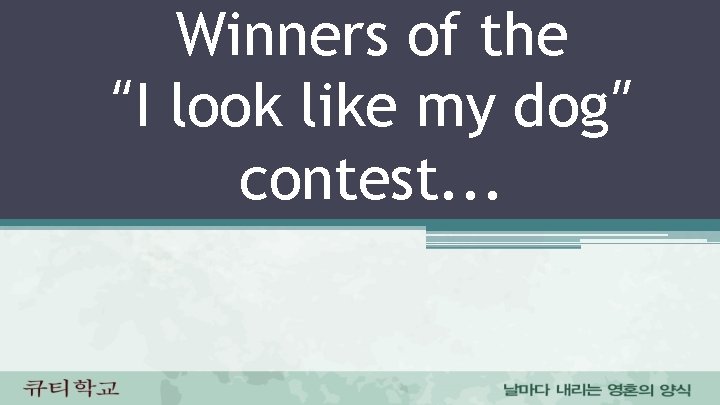 Winners of the “I look like my dog” contest. . . 