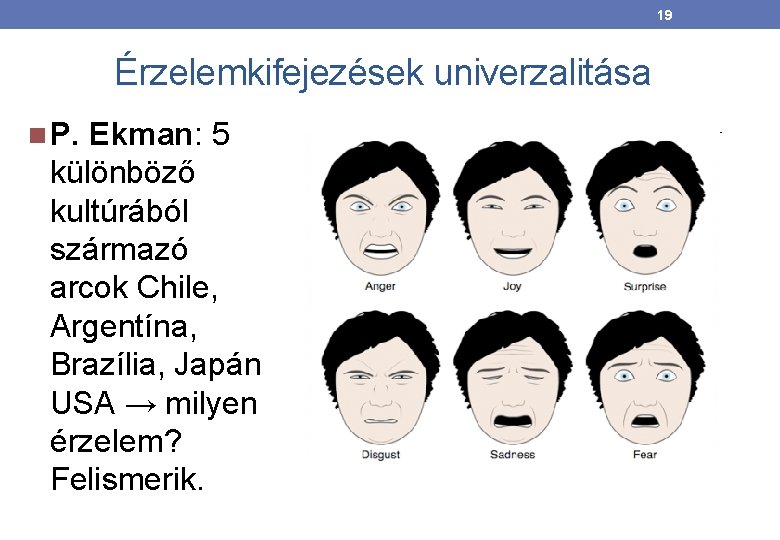 19 Érzelemkifejezések univerzalitása P. Ekman: 5 különböző kultúrából származó arcok Chile, Argentína, Brazília, Japán