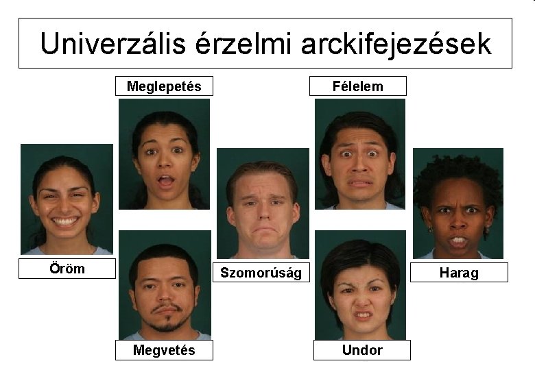 arckifejezés megvetés