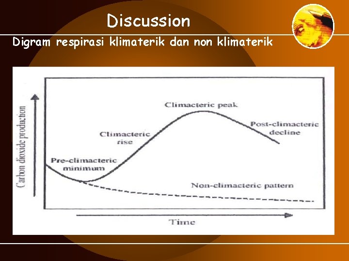 Discussion Digram respirasi klimaterik dan non klimaterik 