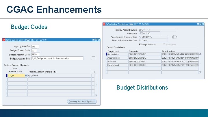 CGAC Enhancements Budget Codes Budget Distributions 