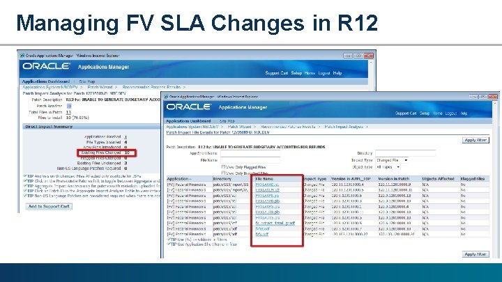 Managing FV SLA Changes in R 12 
