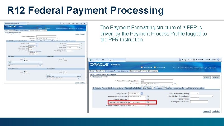 R 12 Federal Payment Processing The Payment Formatting structure of a PPR is driven