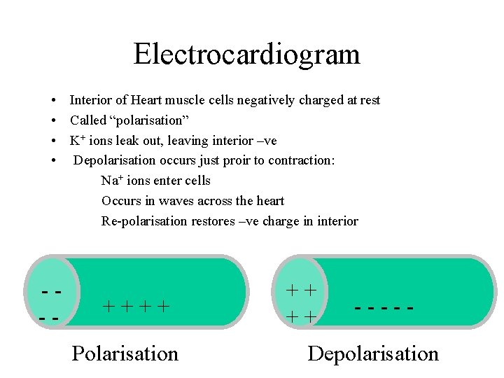Electrocardiogram • Interior of Heart muscle cells negatively charged at rest • Called “polarisation” Electrocardiogram • Interior of Heart muscle cells negatively charged at rest • Called “polarisation”