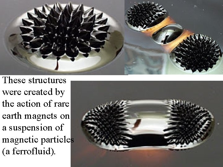 These structures were created by the action of rare earth magnets on a suspension These structures were created by the action of rare earth magnets on a suspension
