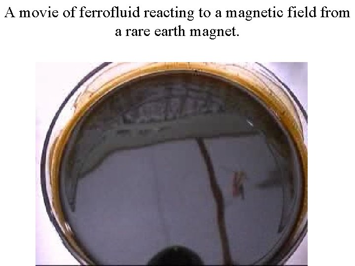 A movie of ferrofluid reacting to a magnetic field from a rare earth magnet. A movie of ferrofluid reacting to a magnetic field from a rare earth magnet.