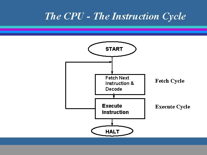 The CPU - The Instruction Cycle START Fetch Next Instruction & Decode Execute Instruction